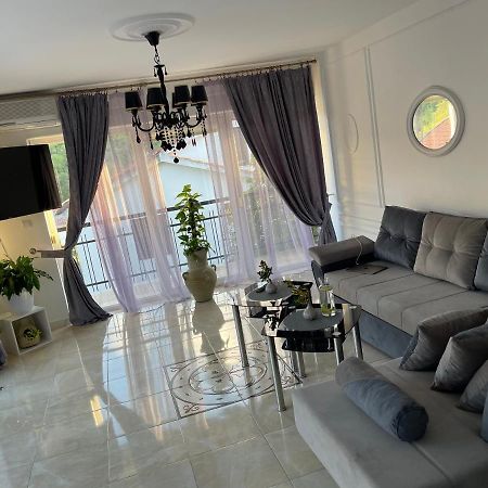 Apartmani Cirovic Luxury تْشيرسيك نوفي المظهر الخارجي الصورة