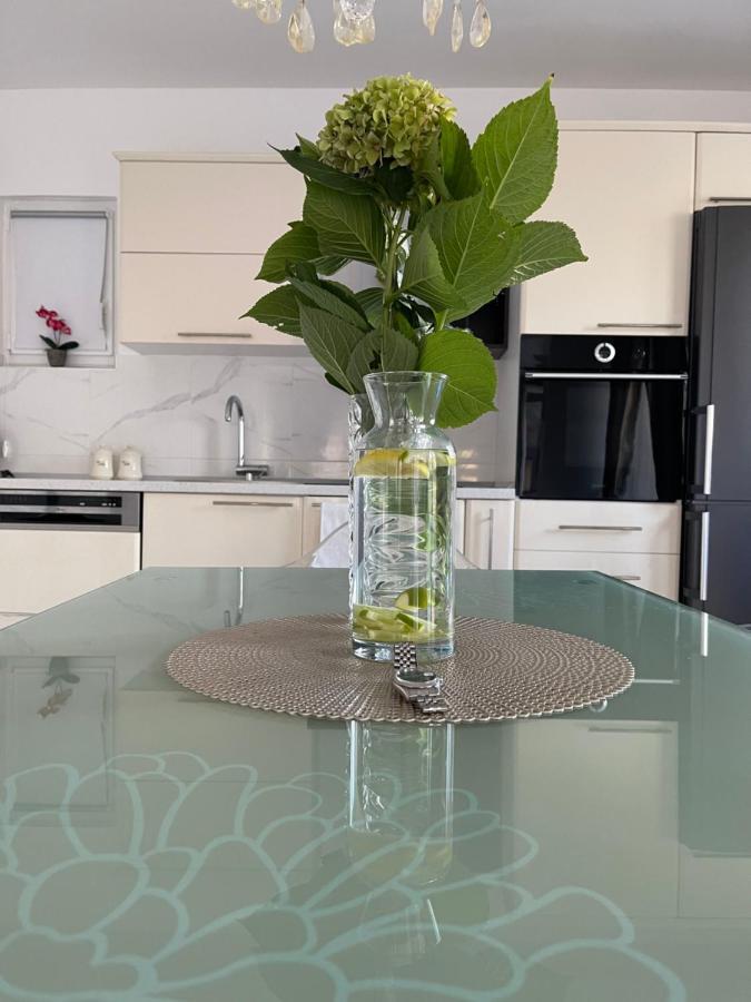 Apartmani Cirovic Luxury تْشيرسيك نوفي المظهر الخارجي الصورة